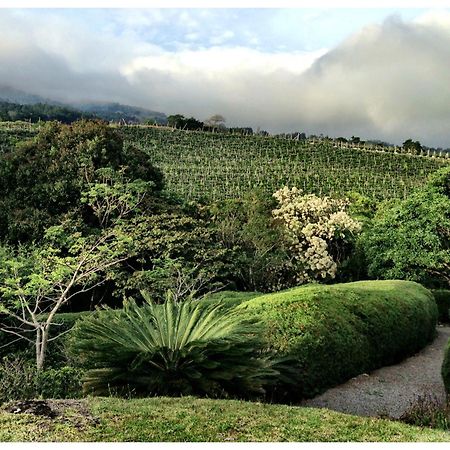 Coffee Garden Ranch Costa Rica Apartment Concepcion  Exterior foto