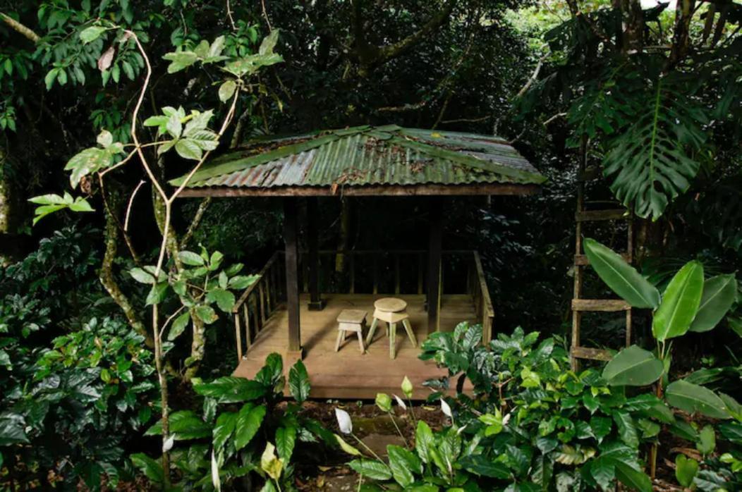 Coffee Garden Ranch Costa Rica Apartment Concepcion  Exterior foto