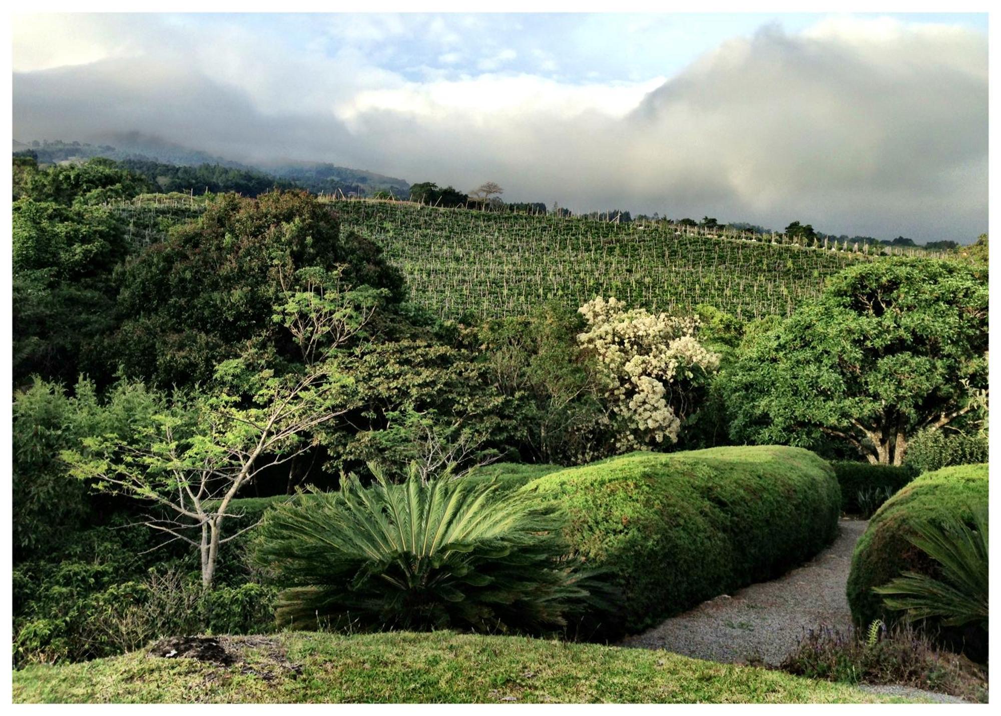 Coffee Garden Ranch Costa Rica Apartment Concepcion  Exterior foto